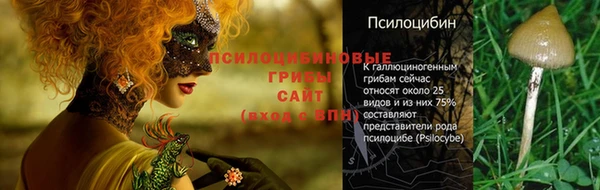 2c-b Алзамай
