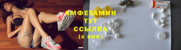 прущие грибы Аркадак