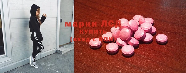 прущие грибы Алексеевка